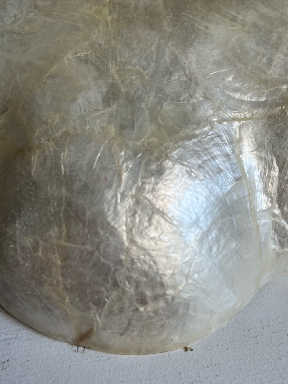 Retro boho Capiz shell style scalloped dish - Picture 5 of 7